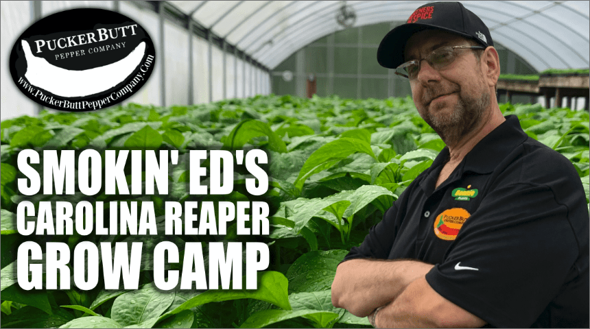 Event No. 2 - How to Grow Carolina Reapers