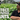 Event No. 5 - Carolina Reaper Pest Control