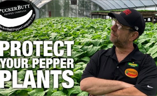 Event No. 5 - Carolina Reaper Pest Control