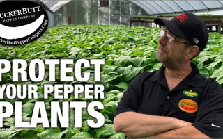 Event No. 5 - Carolina Reaper Pest Control