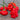 Five vibrant red Starfish X Habanero (Red) peppers with green stems sit on a rustic brown surface. Ideal for gardening enthusiasts, these uniquely wrinkled peppers could be the highlight of your next seed pack.