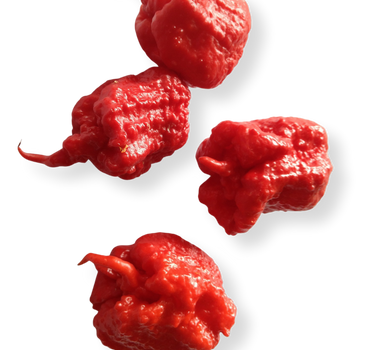 Red Smokin' Ed's Carolina Reaper® Seeds