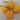 Four Peruvian Habanero Yellow peppers with green stems rest on a white marble surface. They are bright yellow, smooth, and slightly wrinkled with deep grooves.