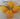 Four Peruvian Habanero Yellow peppers with green stems rest on a white marble surface. They are bright yellow, smooth, and slightly wrinkled with deep grooves.